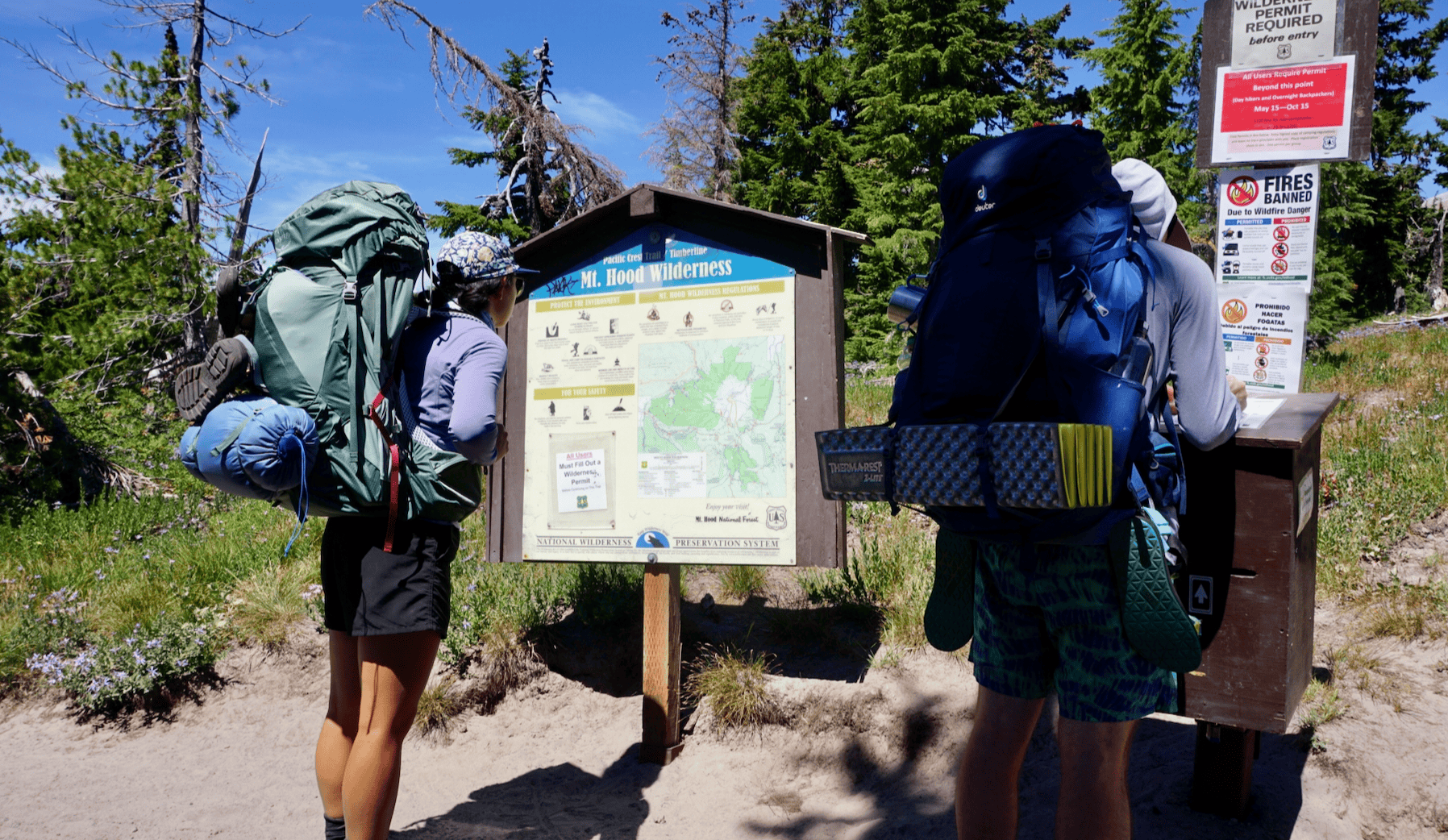 A hiking group looking at the signage on the trailhead of the Timberline Trail on Mount Hood.